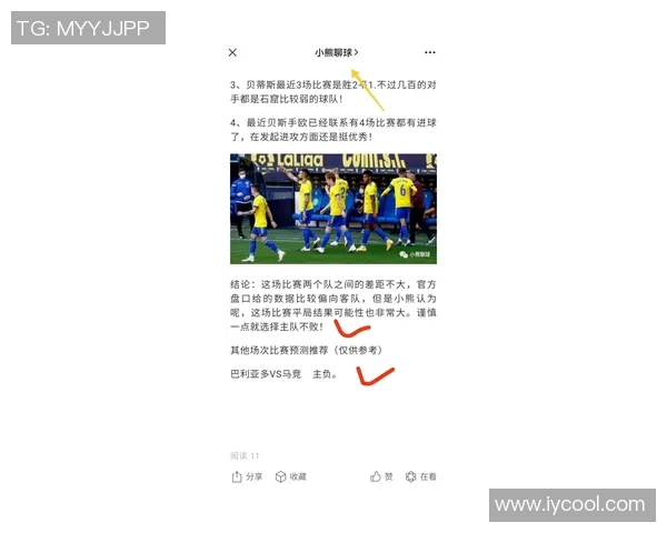 荷甲最新排名动态分析及各队表现评估